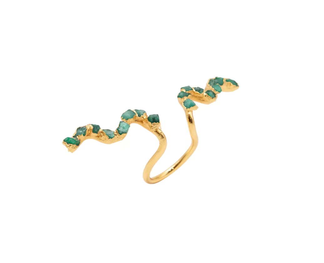 Guaviare River collection ring