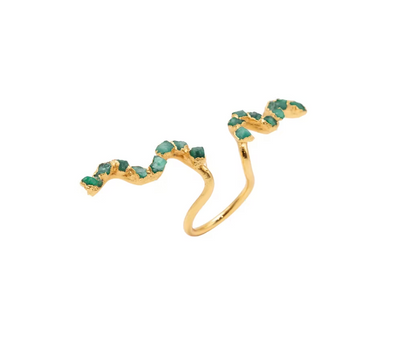 Guaviare River collection ring