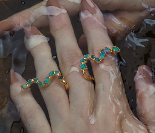 Guaviare River collection ring